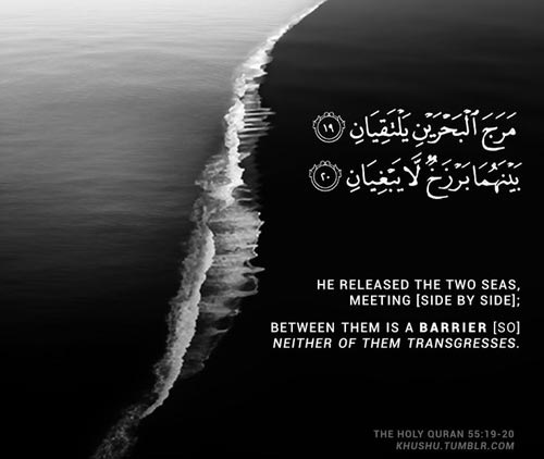 beautiful islamic quotes 1