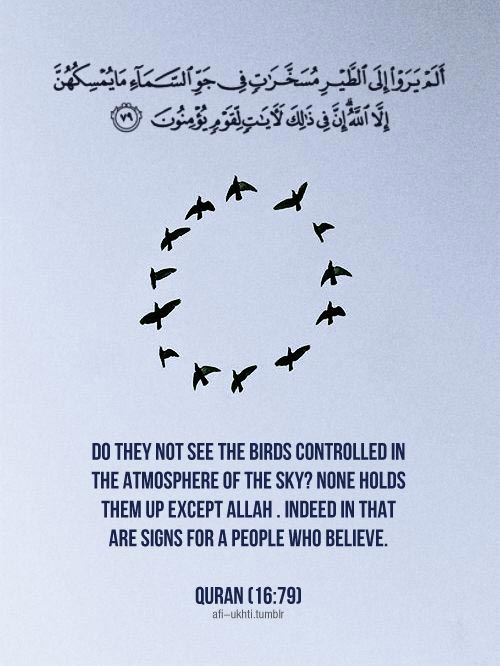 beautiful islamic quotes 5
