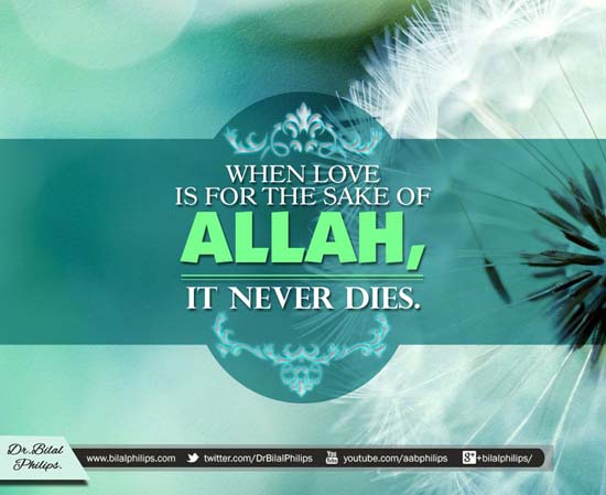 130+ Beautiful Islamic Quotes About Life With Pictures 