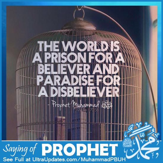 Prophet Muhammad Quotes about world dunya
