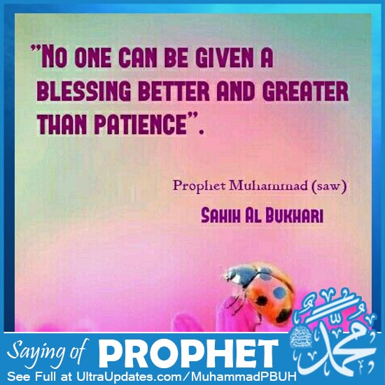 prophet muhammad saw quotes in english