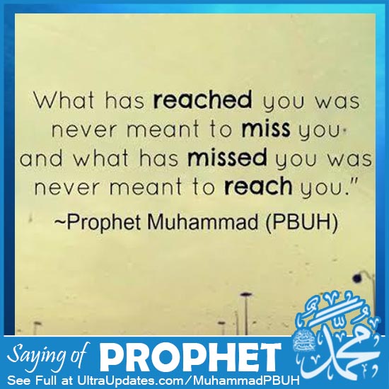 quotes by prophet muhammad