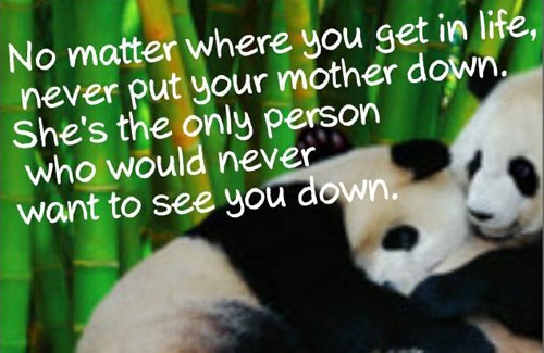 mother-quotes-23
