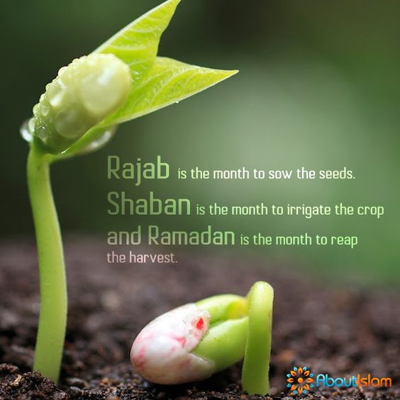 beautiful ramadan quotes