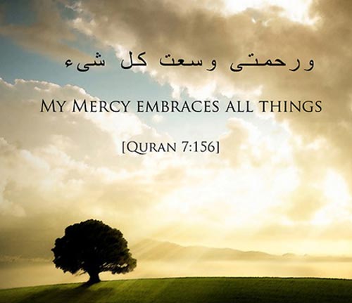 85+ Beautiful & Inspirational Islamic Quran Quotes ...