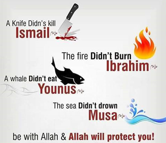 cute islamic quotes