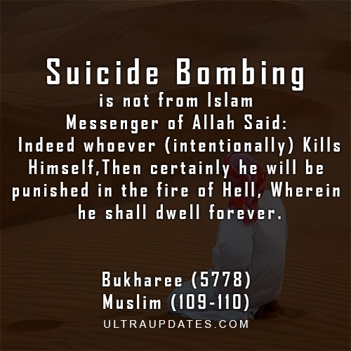 inspirational islamic quotes anti suicide bombing quote