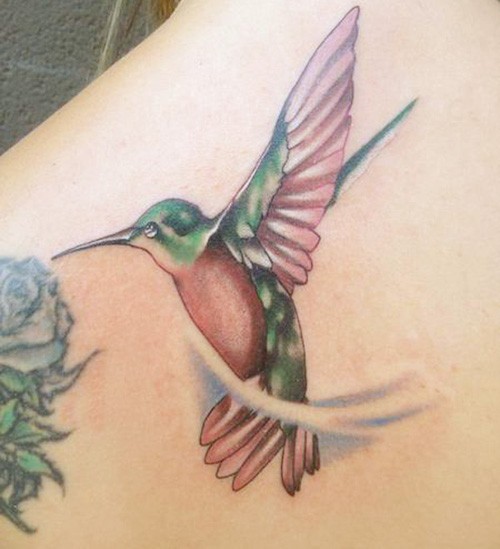 Realism color hummingbird tattoo by Quade Dahlstrom TattooNOW