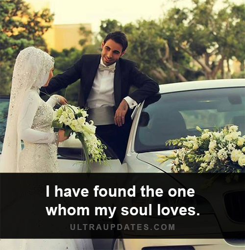 40+ Beautiful Cute Couple Quotes & Sayings For Perfect 