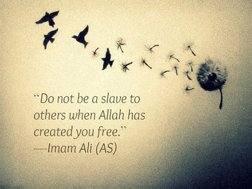 quotes of hazrat ali