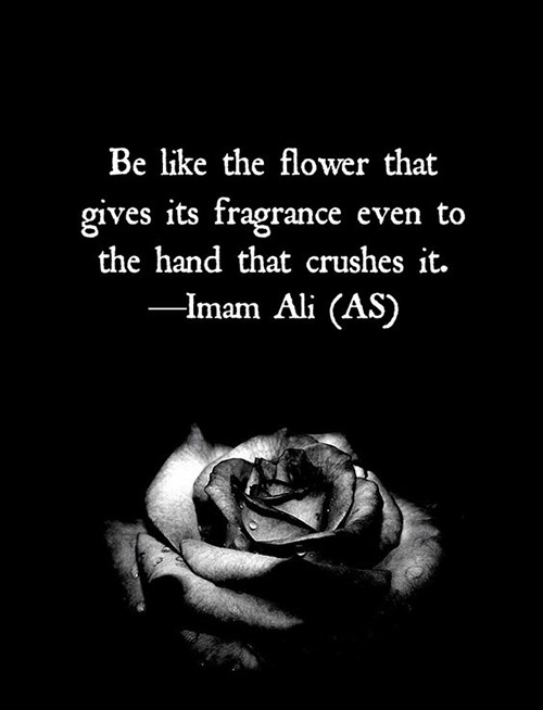 sayings of hazrat ali in english