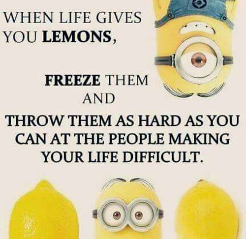 15+ When Life Gives You Lemons Quotes Images