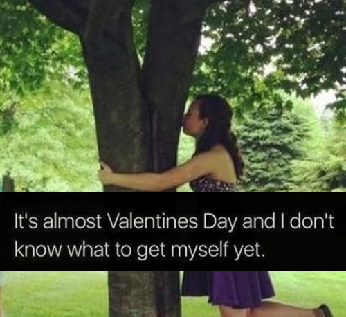 63 Funny Valentine S Day Quotes Sayings Images 2020