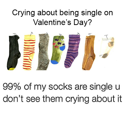 24+ Sarcastic Valentines Day Quotes & Sayings Images