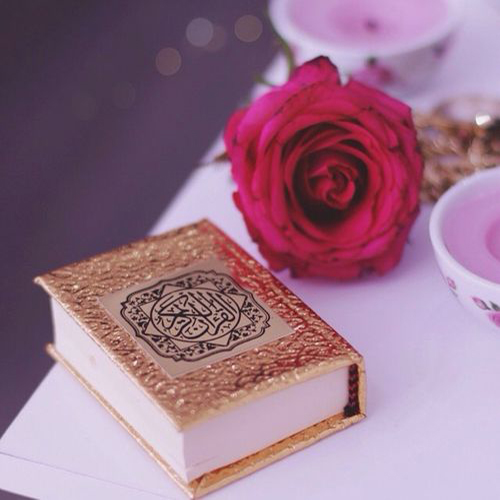 50 Beautiful Islamic DPs Images For Girls Boys Best 