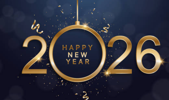 Funny New Year Captions