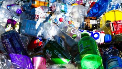 -Green Waste Disposal Techniques to Know