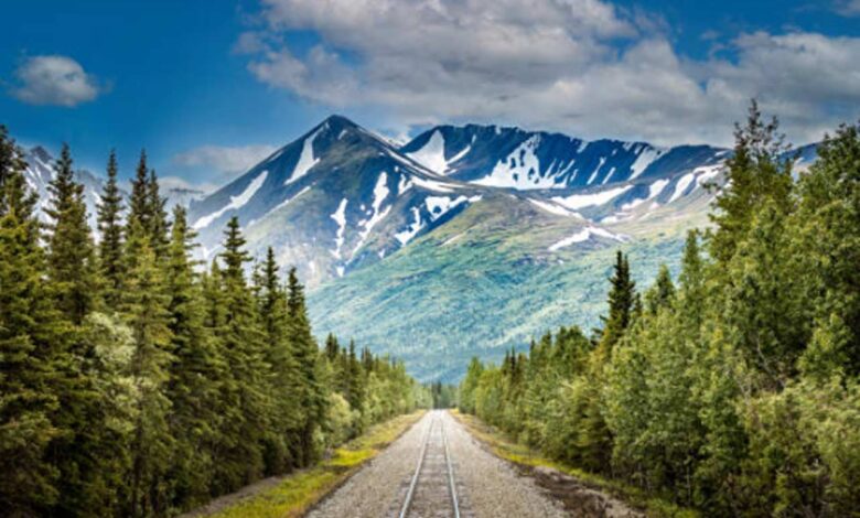 Chasing-Glaciers-and-Wildlife---A-Majestic-Journey-Cruising-Through-the-Untamed-Beauty-of-Alaska's-Coastline