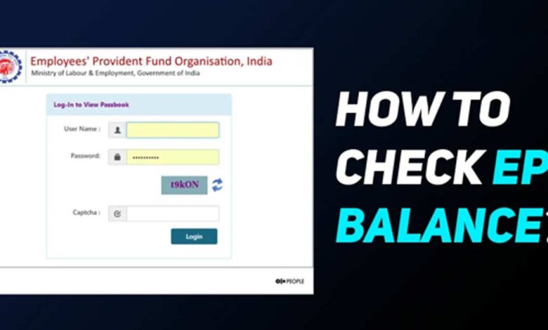 How to Check Your EPF Balance After Logging In A Comprehensive Guide