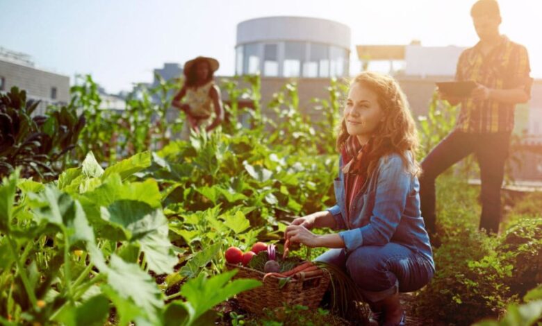 How Urban Farming is Changing the Way We Eat in Cities