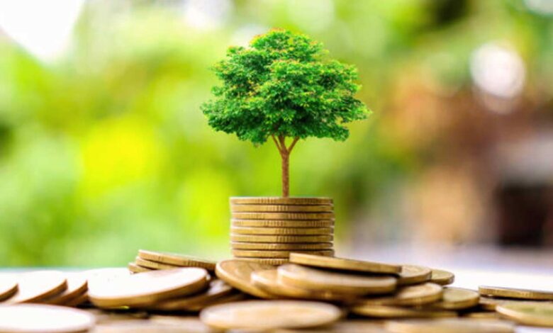 What You Need to Know About Rapid Capital Distribution