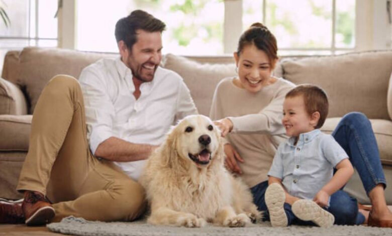 Living Clean with Dogs: Balancing Pets, Cleaning Services, and a Fresh Oven