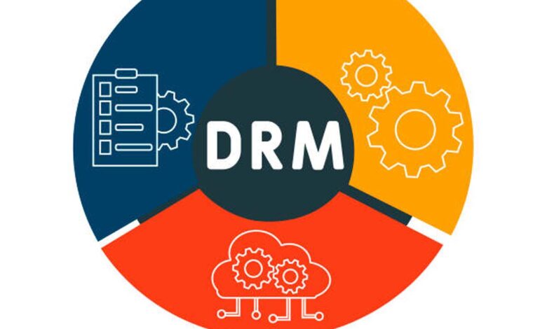 Safeguarding Digital Innovation: Critical Reasons Why DRM Solutions Matter
