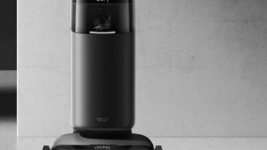 How-Can-You-Detect-a-Carpet-Beetle-Infestation