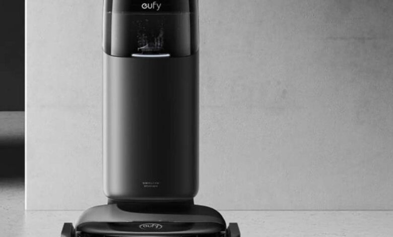 How-Can-You-Detect-a-Carpet-Beetle-Infestation