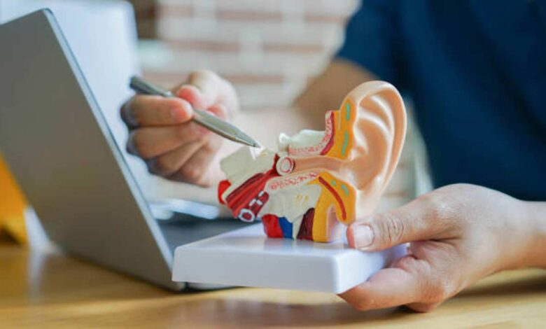 Expert Hearing Doctors in Houston