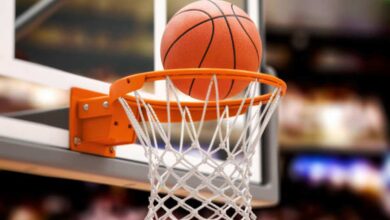 The Long-Term Value of Using a Quality Basketball Holder Wall Mount