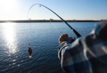 Understanding Fishing Regulations and How Lawyers Defend Against Violations