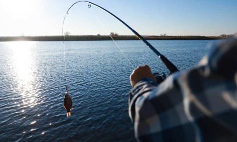 Understanding Fishing Regulations and How Lawyers Defend Against Violations