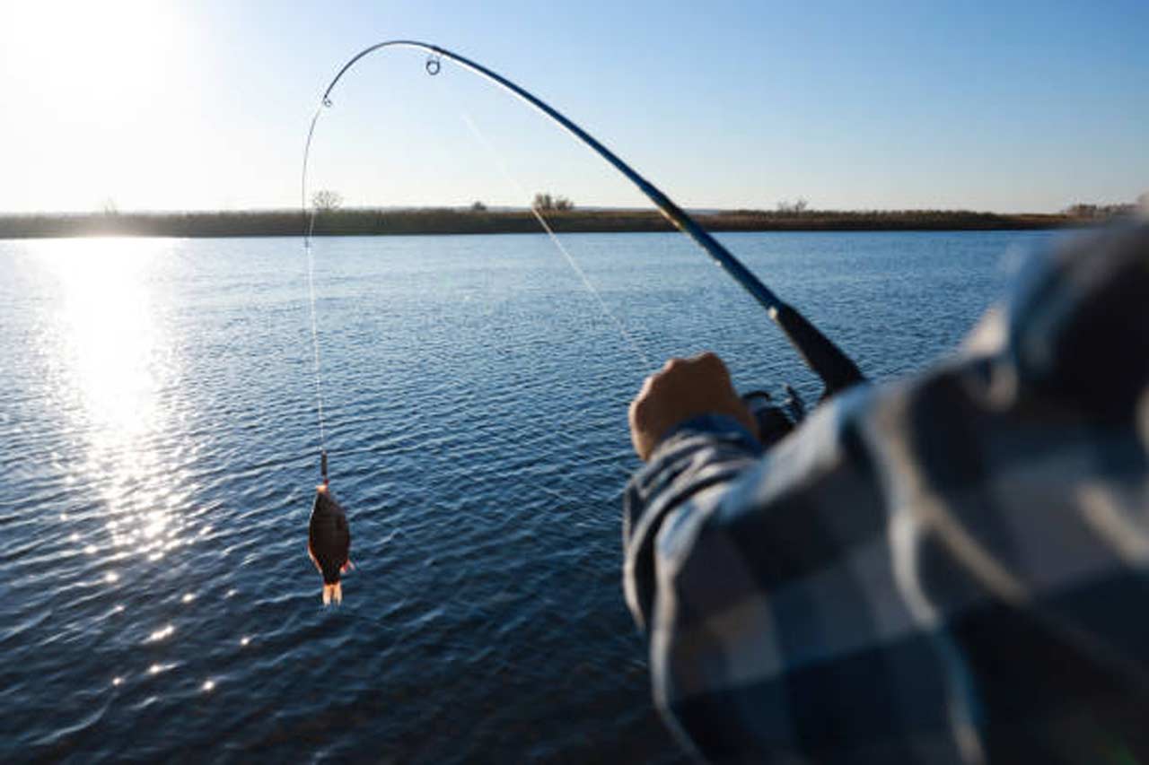 Understanding Fishing Regulations and How Lawyers Defend Against Violations