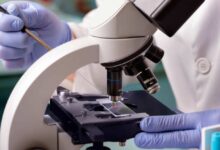 Best Practices for Organizing Slides in a Microscope Slide Storage Cabinet