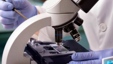 Best Practices for Organizing Slides in a Microscope Slide Storage Cabinet