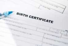 Why Birth Certificate Translation in Australia Requires NAATI-Certified Professionals