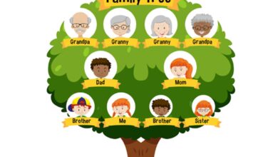 How to Create a Simple & Fun Family Tree Project for Kids