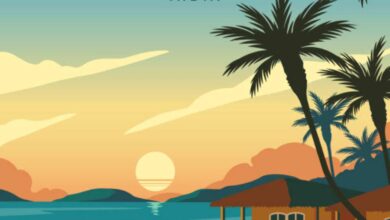 The Ultimate Guide to the Best Time to Visit Goa