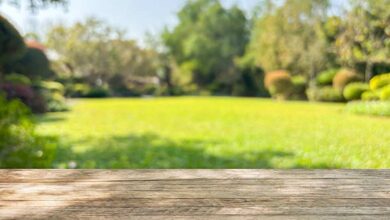 What to Check Before Investing in Lawn Equipment for Long-Term Use