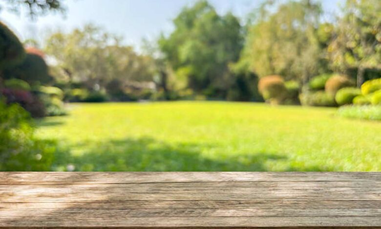 What to Check Before Investing in Lawn Equipment for Long-Term Use