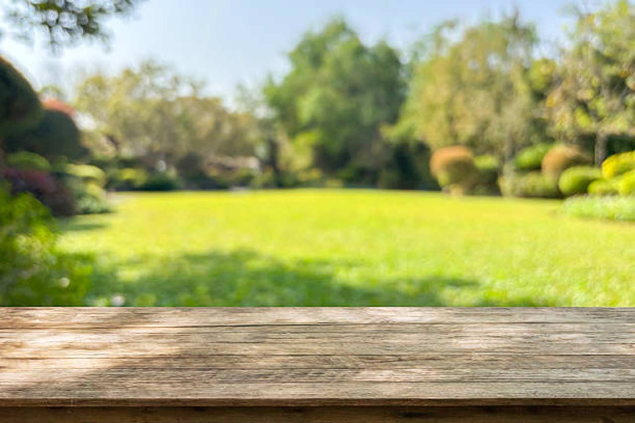 What to Check Before Investing in Lawn Equipment for Long-Term Use