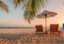 Holiday Dialysis: Kidney-Friendly Food Tips While Travelling